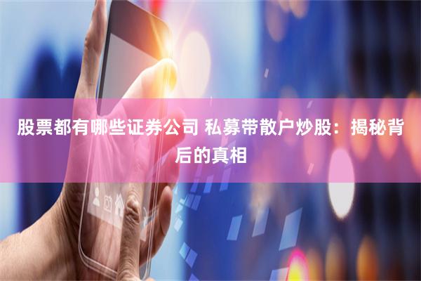 股票都有哪些证券公司 私募带散户炒股：揭秘背后的真相