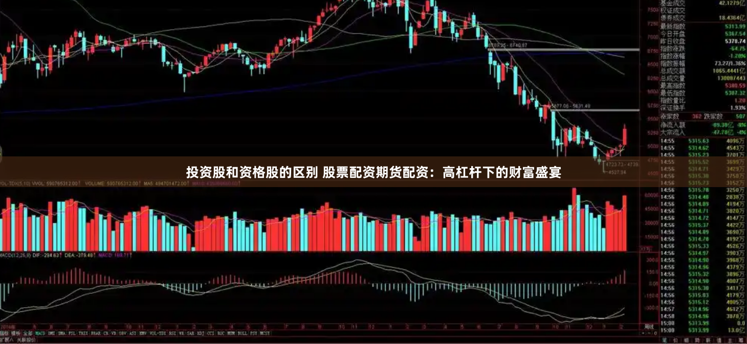 投资股和资格股的区别 股票配资期货配资：高杠杆下的财富盛宴